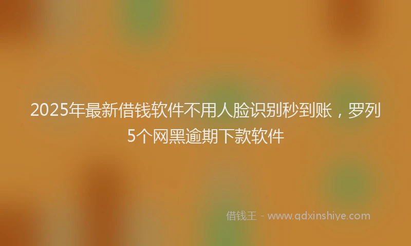 2025年最新借钱软件不用人脸识别秒到账，罗列5个网黑逾期下款软件