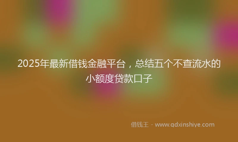 2025年最新借钱金融平台，总结五个不查流水的小额度贷款口子