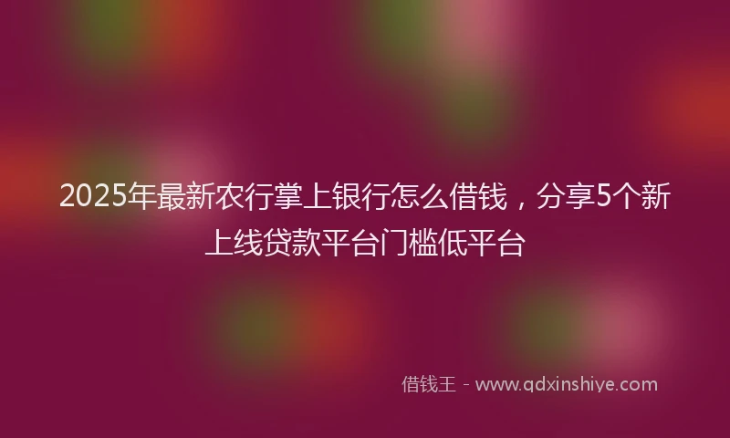 2025年最新农行掌上银行怎么借钱,分享5个新上线贷款平台门槛低平台