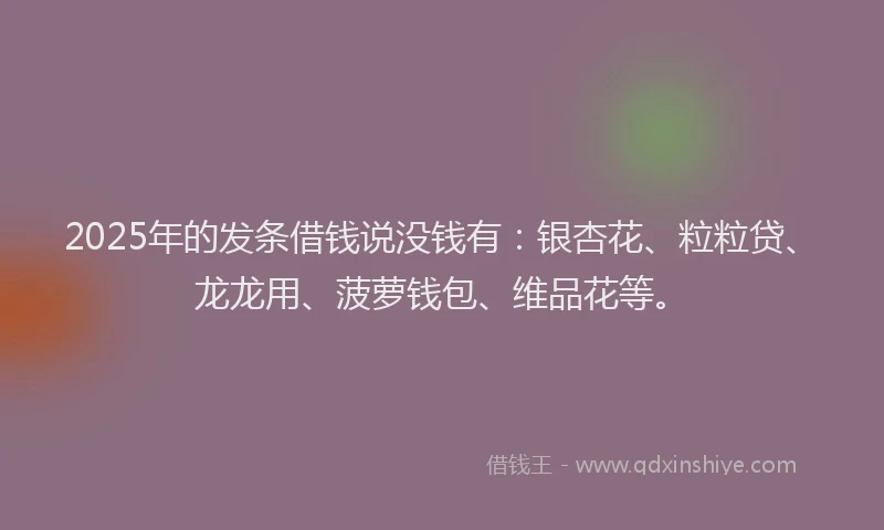 2025年的发条借钱说没钱有：银杏花、粒粒贷、龙龙用、菠萝钱包、维品花等。