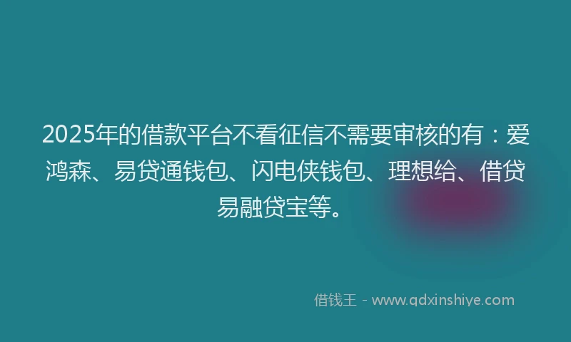 2025年的借款平台不看征信不需要审核的有：爱鸿森、易贷通钱包、闪电侠钱包、理想给、借贷易融贷宝等。