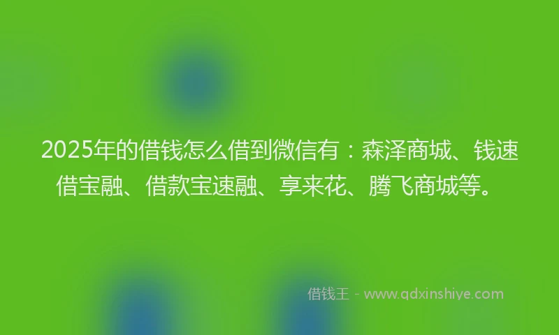 2025年的借钱怎么借到微信有：森泽商城、钱速借宝融、借款宝速融、享来花、腾飞商城等。