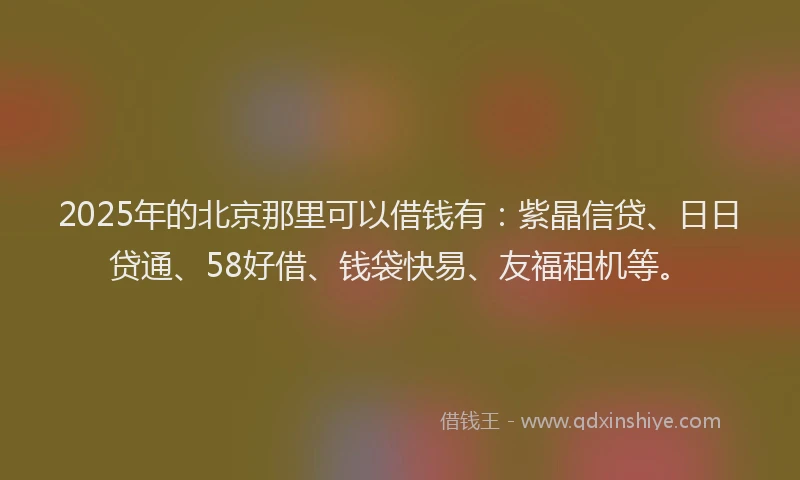 2025年的北京那里可以借钱有：紫晶信贷、日日贷通、58好借、钱袋快易、友福租机等。