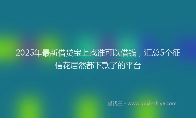 2025年最新借贷宝上找谁可以借钱，汇总5个征信花居然都下款了的平台