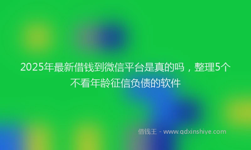 2025年最新借钱到微信平台是真的吗，整理5个不看年龄征信负债的软件