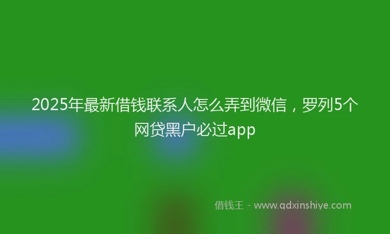 2025年最新借钱联系人怎么弄到微信，罗列5个网贷黑户必过app