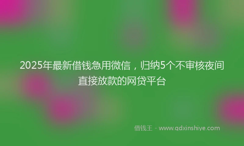 2025年最新借钱急用微信，归纳5个不审核夜间直接放款的网贷平台