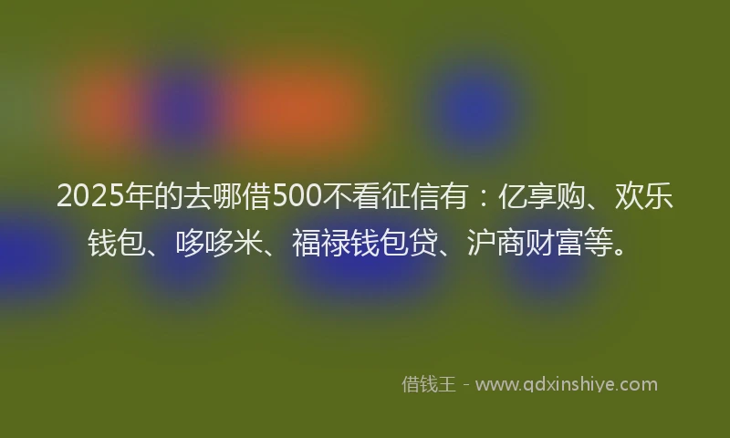 2025年的去哪借500不看征信有：亿享购、欢乐钱包、哆哆米、福禄钱包贷、沪商财富等。