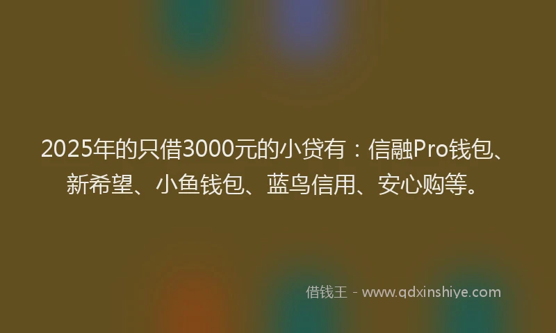 2025年的只借3000元的小贷有：信融Pro钱包、新希望、小鱼钱包、蓝鸟信用、安心购等。
