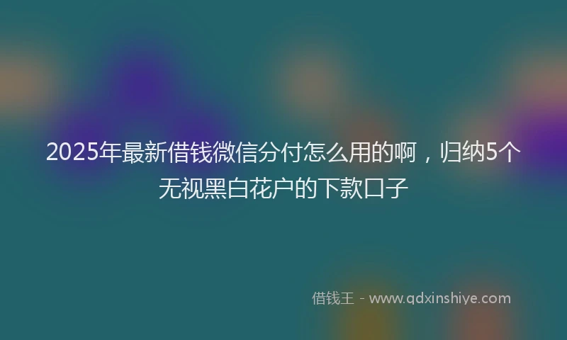 2025年最新借钱微信分付怎么用的啊，归纳5个无视黑白花户的下款口子