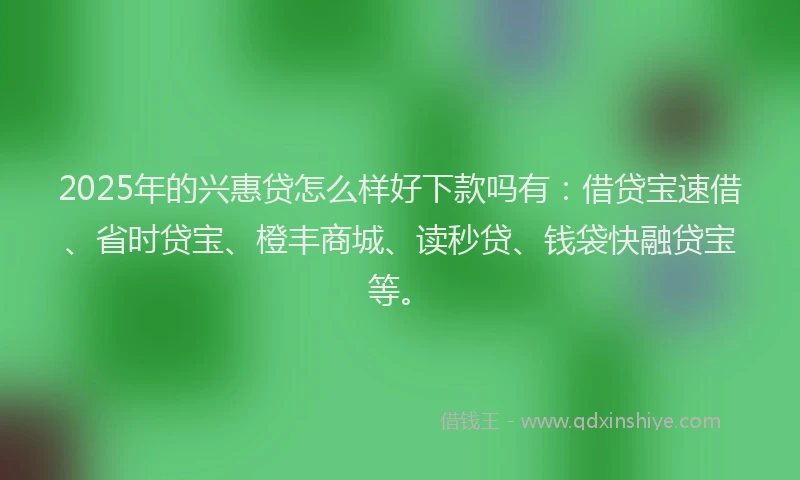 2025年的兴惠贷怎么样好下款吗有：借贷宝速借、省时贷宝、橙丰商城、读秒贷、钱袋快融贷宝等。