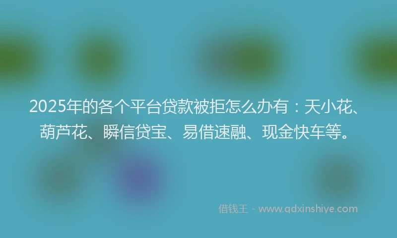 2025年的各个平台贷款被拒怎么办有：天小花、葫芦花、瞬信贷宝、易借速融、现金快车等。