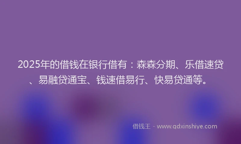 2025年的借钱在银行借有：森森分期、乐借速贷、易融贷通宝、钱速借易行、快易贷通等。