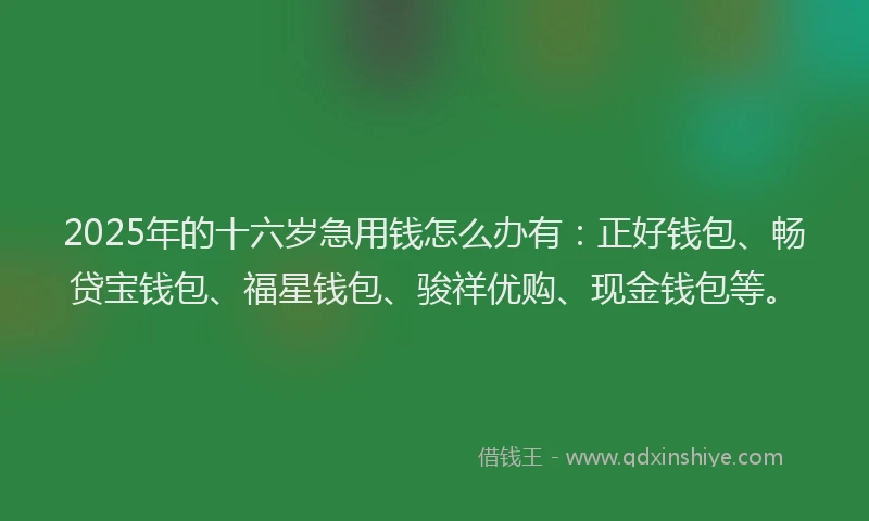 2025年的十六岁急用钱怎么办有：正好钱包、畅贷宝钱包、福星钱包、骏祥优购、现金钱包等。