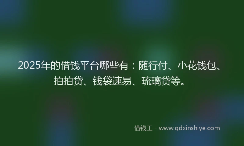 2025年的借钱平台哪些有：随行付、小花钱包、拍拍贷、钱袋速易、琉璃贷等。