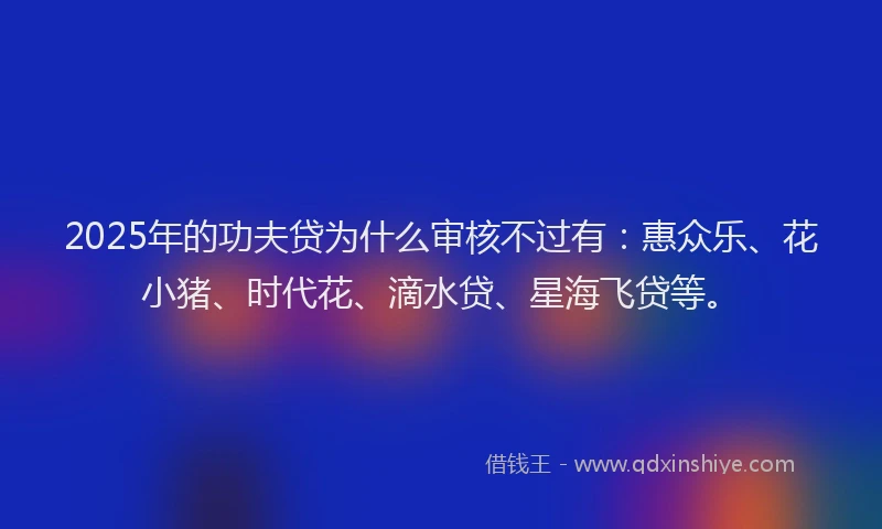 2025年的功夫贷为什么审核不过有：惠众乐、花小猪、时代花、滴水贷、星海飞贷等。