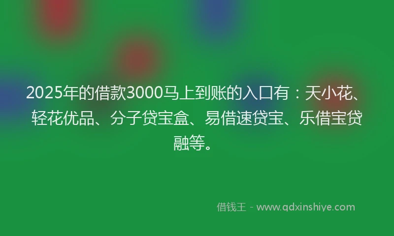 2025年的借款3000马上到账的入口有：天小花、轻花优品、分子贷宝盒、易借速贷宝、乐借宝贷融等。