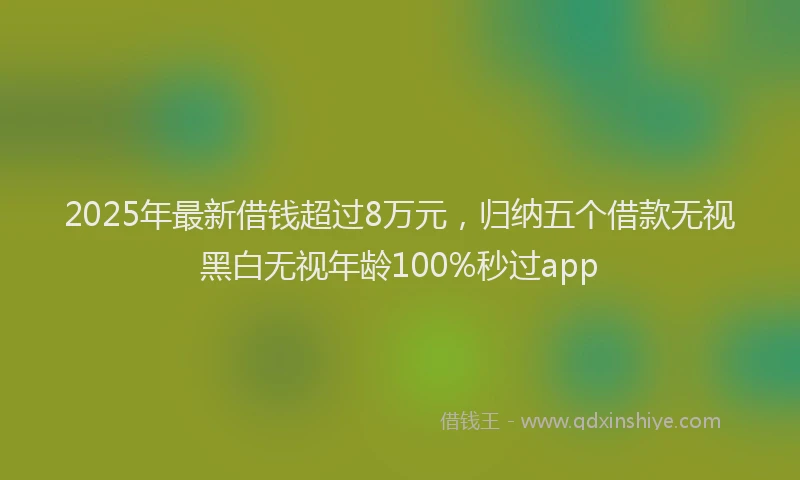 2025年最新借钱超过8万元，归纳五个借款无视黑白无视年龄100%秒过app