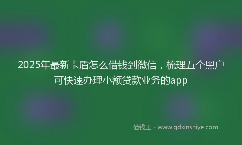 2025年最新卡盾怎么借钱到微信，梳理五个黑户可快速办理小额贷款业务的app