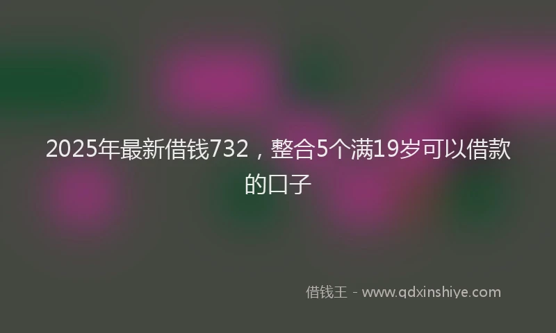 2025年最新借钱732，整合5个满19岁可以借款的口子