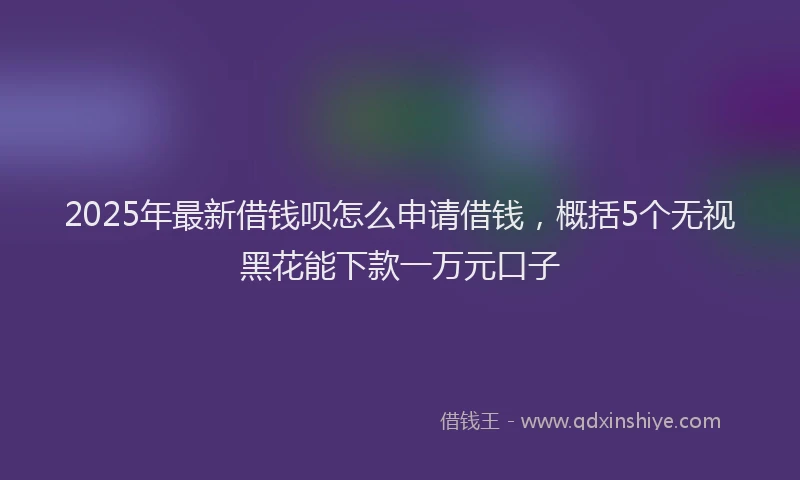 2025年最新借钱呗怎么申请借钱，概括5个无视黑花能下款一万元口子