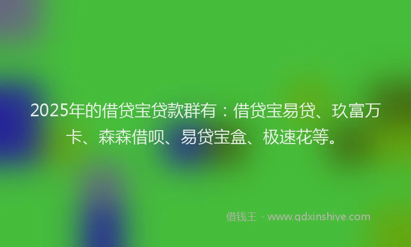 2025年的借贷宝贷款群有：借贷宝易贷、玖富万卡、森森借呗、易贷宝盒、极速花等。