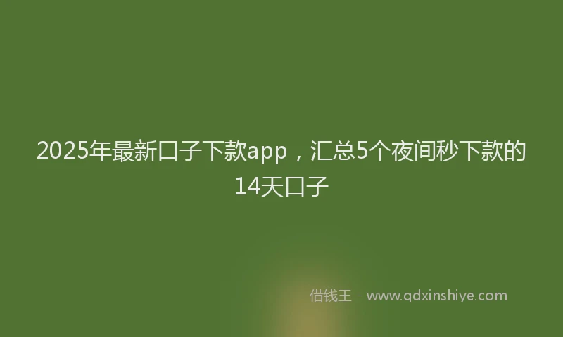 2025年最新口子下款app，汇总5个夜间秒下款的14天口子