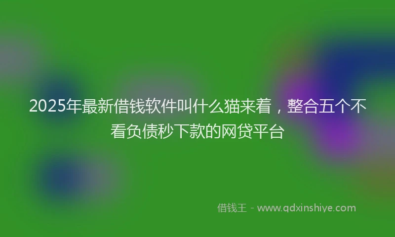 2025年最新借钱软件叫什么猫来着，整合五个不看负债秒下款的网贷平台