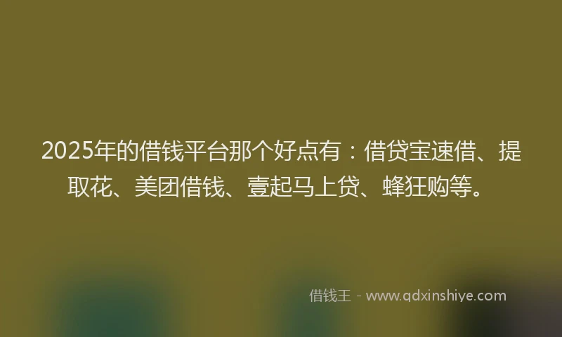 2025年的借钱平台那个好点有：借贷宝速借、提取花、美团借钱、壹起马上贷、蜂狂购等。