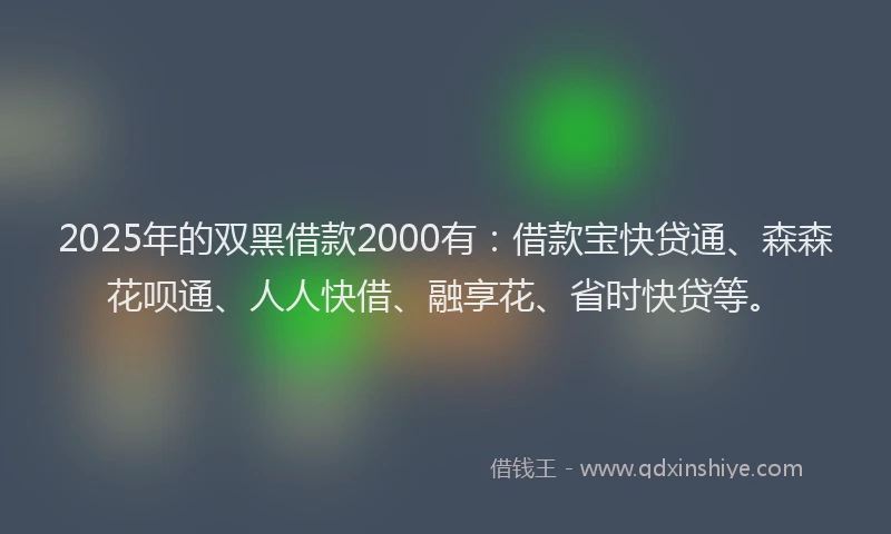 2025年的双黑借款2000有：借款宝快贷通、森森花呗通、人人快借、融享花、省时快贷等。