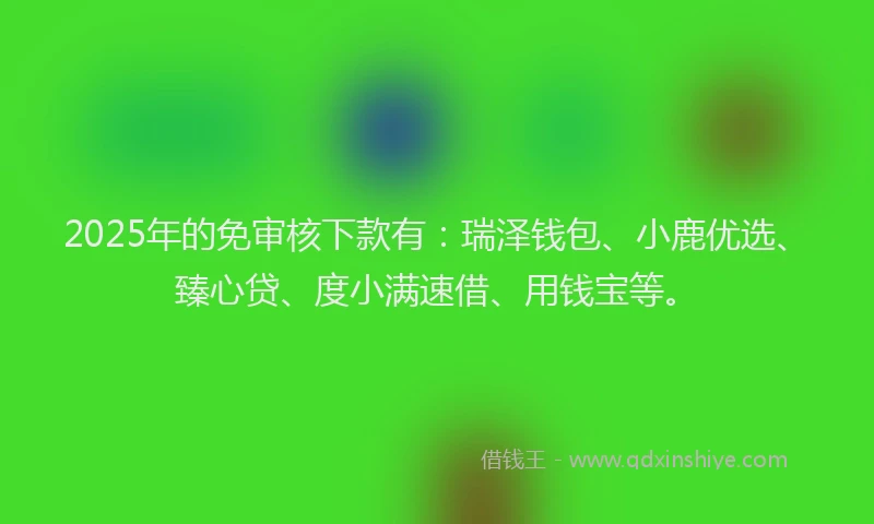 2025年的免审核下款有：瑞泽钱包、小鹿优选、臻心贷、度小满速借、用钱宝等。