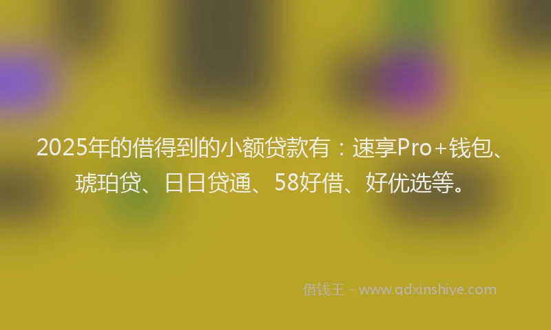 2025年的借得到的小额贷款有：速享Pro+钱包、琥珀贷、日日贷通、58好借、好优选等。