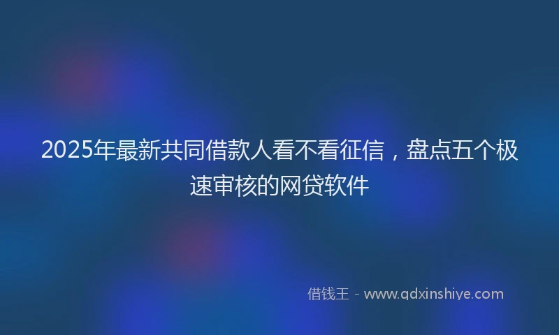 2025年最新共同借款人看不看征信，盘点五个极速审核的网贷软件