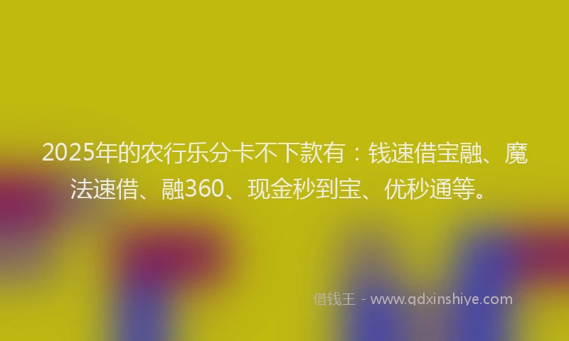 2025年的农行乐分卡不下款有：钱速借宝融、魔法速借、融360、现金秒到宝、优秒通等。