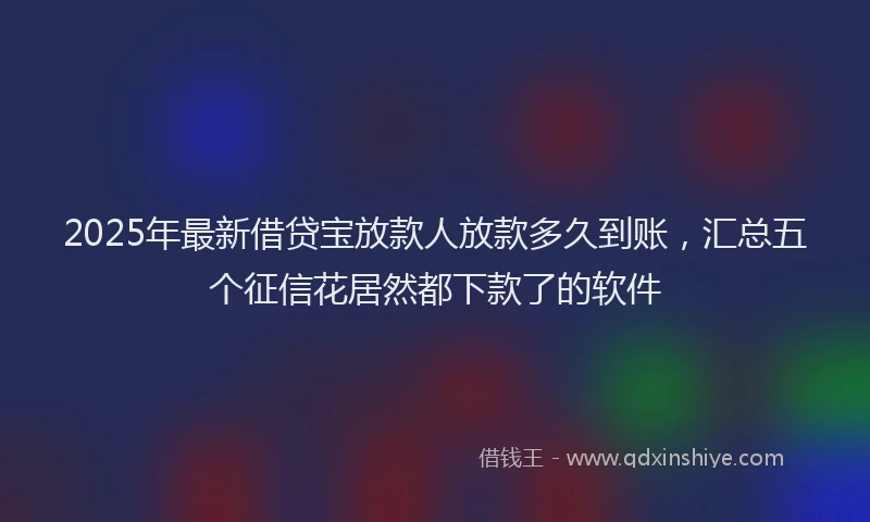 2025年最新借贷宝放款人放款多久到账，汇总五个征信花居然都下款了的软件