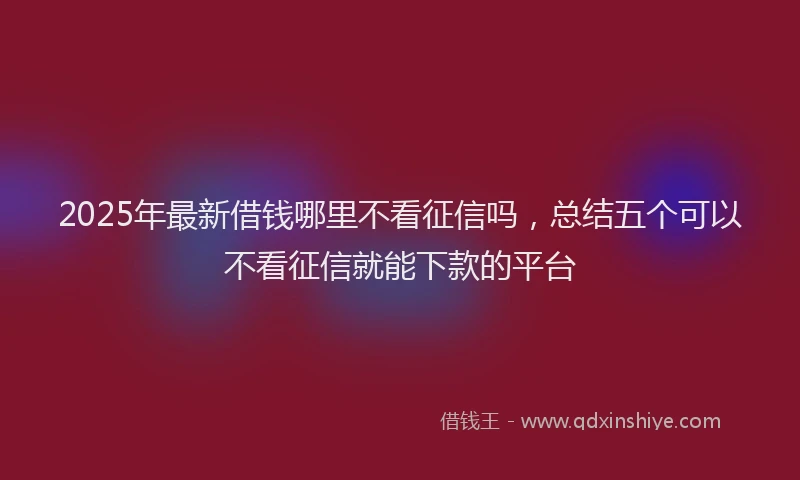 2025年最新借钱哪里不看征信吗，总结五个可以不看征信就能下款的平台