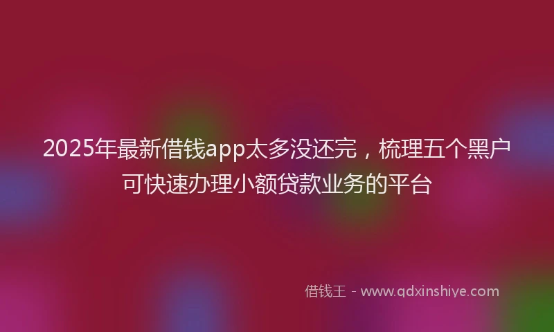 2025年最新借钱app太多没还完，梳理五个黑户可快速办理小额贷款业务的平台