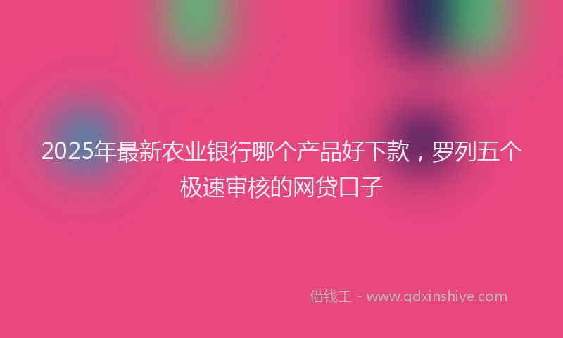 2025年最新农业银行哪个产品好下款，罗列五个极速审核的网贷口子