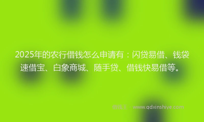 2025年的农行借钱怎么申请有：闪贷易借、钱袋速借宝、白象商城、随手贷、借钱快易借等。