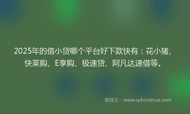 2025年的借小贷哪个平台好下款快有：花小猪、快莱购、E享购、极速贷、阿凡达速借等。