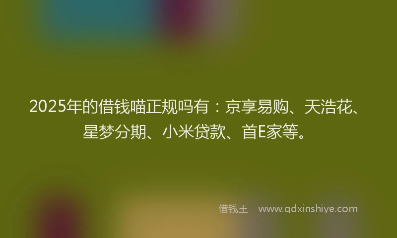 2025年的借钱喵正规吗有：京享易购、天浩花、星梦分期、小米贷款、首E家等。