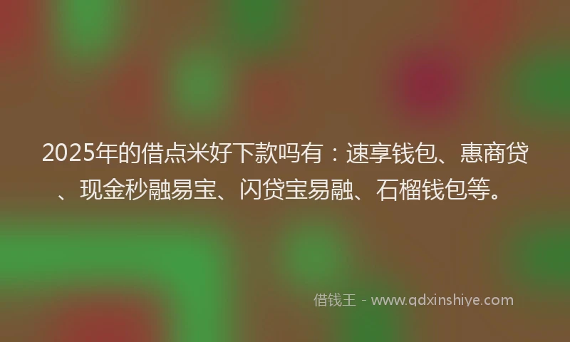 2025年的借点米好下款吗有：速享钱包、惠商贷、现金秒融易宝、闪贷宝易融、石榴钱包等。