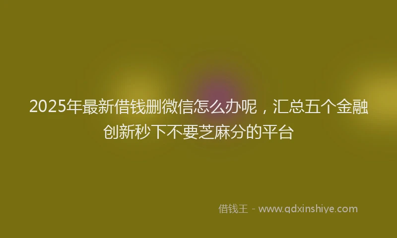 2025年最新借钱删微信怎么办呢，汇总五个金融创新秒下不要芝麻分的平台
