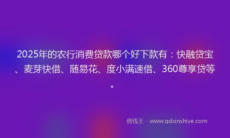 2025年的农行消费贷款哪个好下款有：快融贷宝、麦芽快借、随易花、度小满速借、360尊享贷等。