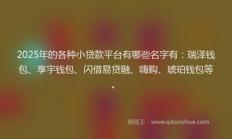 2025年的各种小贷款平台有哪些名字有：瑞泽钱包、享宇钱包、闪借易贷融、嗨购、琥珀钱包等。
