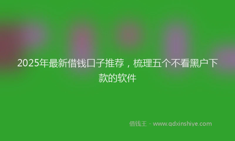 2025年最新借钱口子推荐，梳理五个不看黑户下款的软件