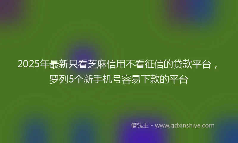 2025年最新只看芝麻信用不看征信的贷款平台，罗列5个新手机号容易下款的平台