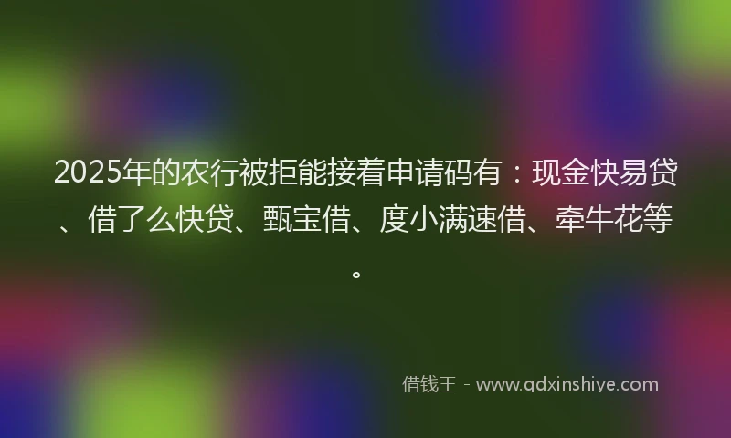 2025年的农行被拒能接着申请码有：现金快易贷、借了么快贷、甄宝借、度小满速借、牵牛花等。