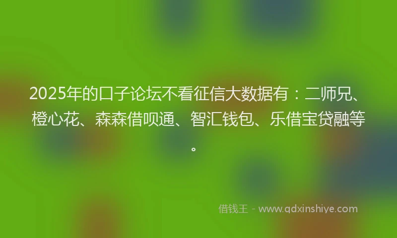 2025年的口子论坛不看征信大数据有：二师兄、橙心花、森森借呗通、智汇钱包、乐借宝贷融等。