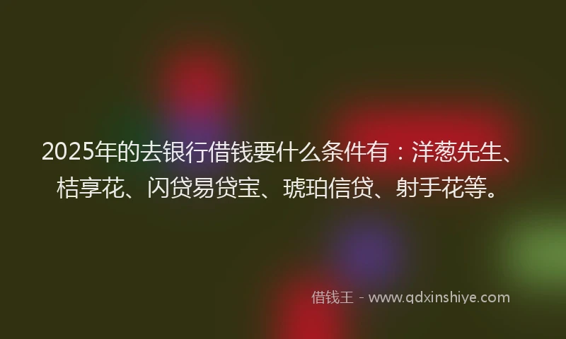 2025年的去银行借钱要什么条件有：洋葱先生、桔享花、闪贷易贷宝、琥珀信贷、射手花等。